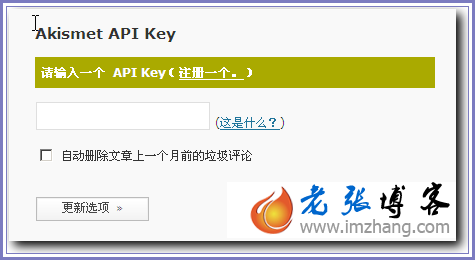 API key申请